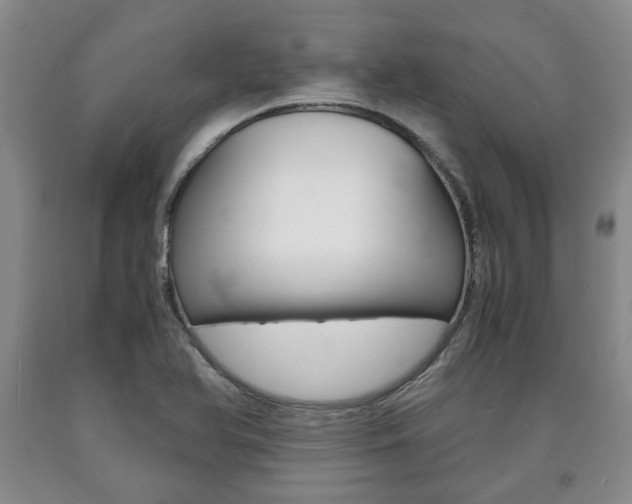 X0000090861366200707270925