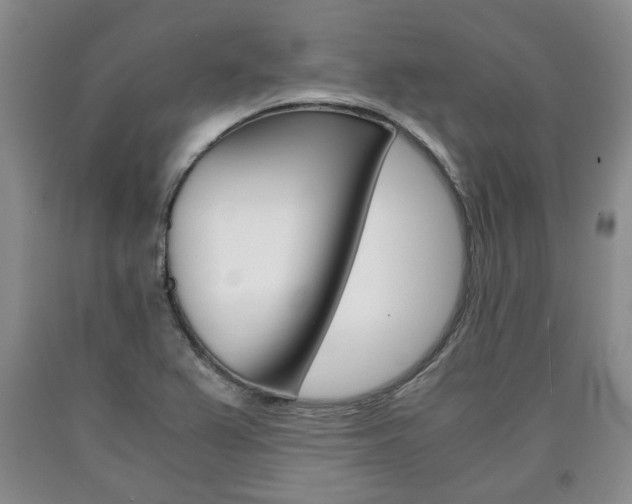 X0000090861367200707270925