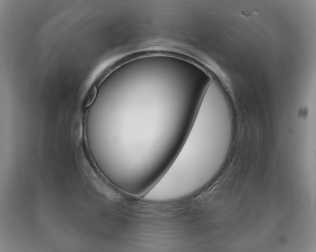 X0000090861368200707270925