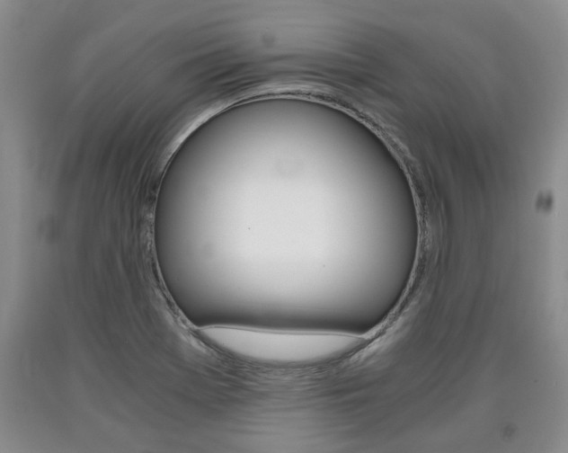 X0000090861369200707270925