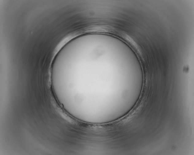 X0000090861370200707270925