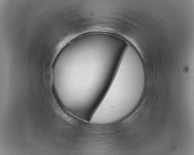 X0000090861371200707270925