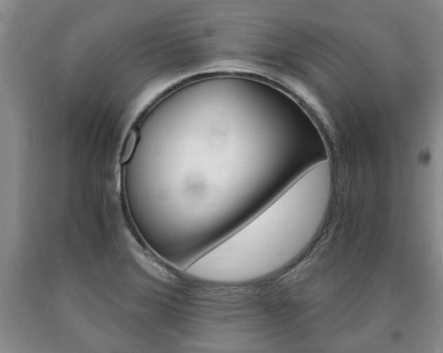 X0000090861372200707270925