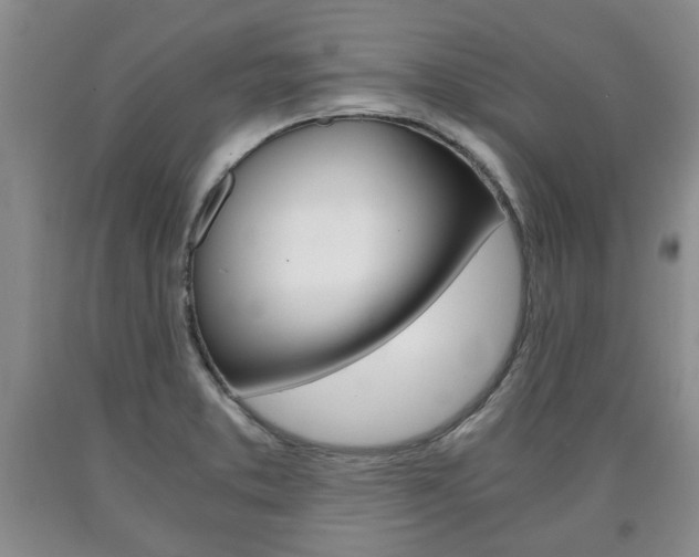 X0000090861373200707270925