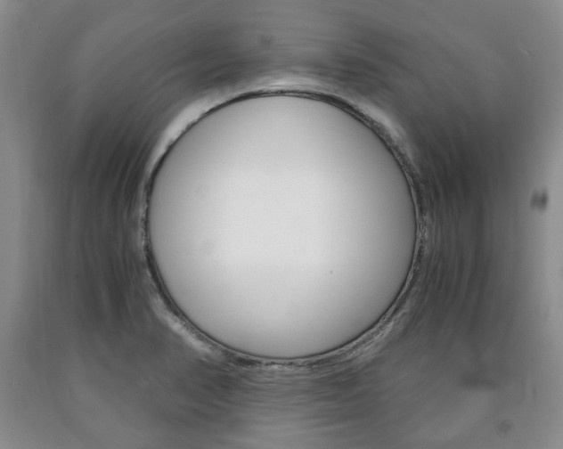 X0000090861374200707270925