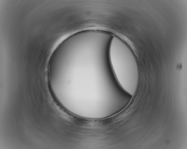 X0000090861375200707270925