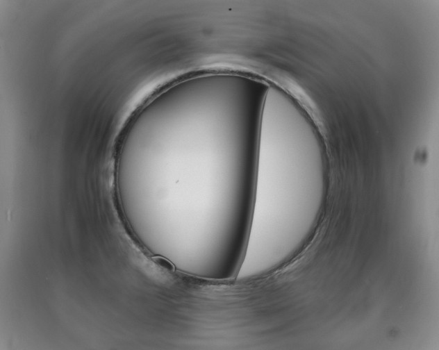 X0000090861376200707270925