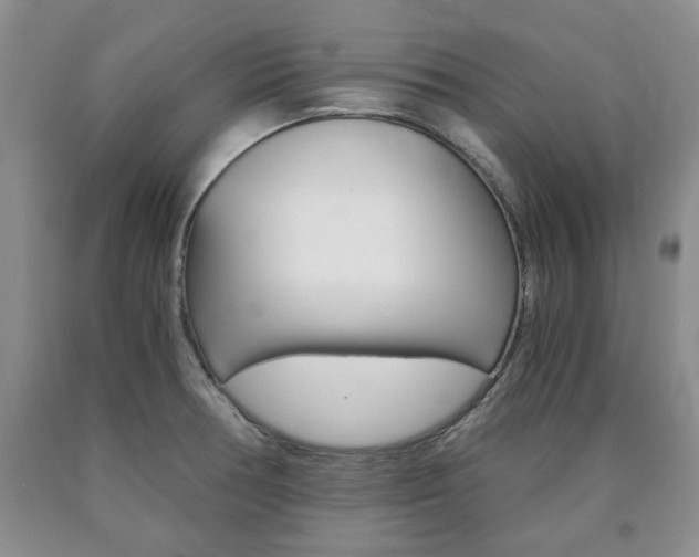 X0000090861378200707270925