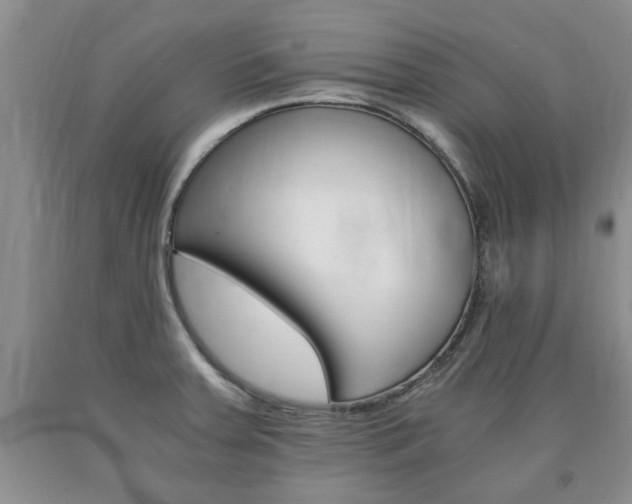 X0000090861379200707270925