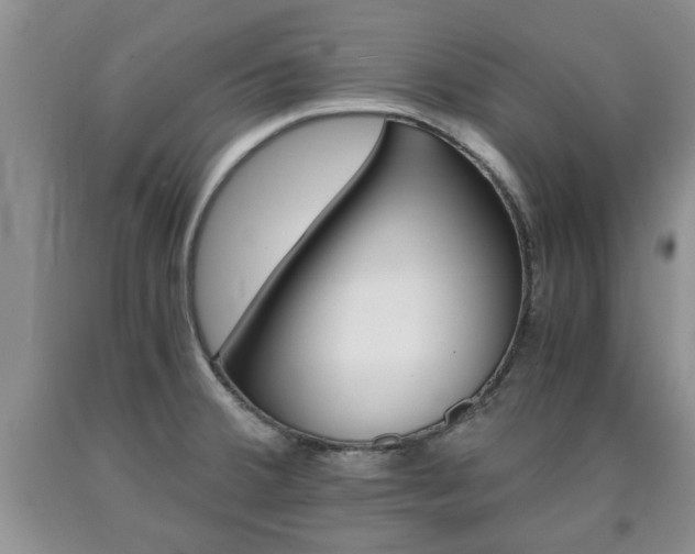 X0000090861380200707270925