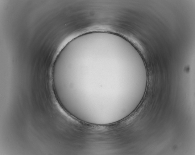 X0000090861382200707270925