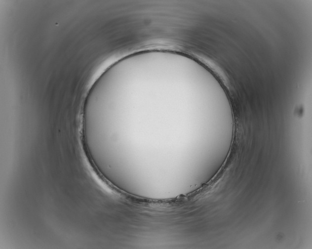 X0000090861383200707270925