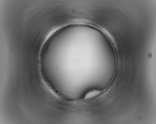 X0000090861384200707270925