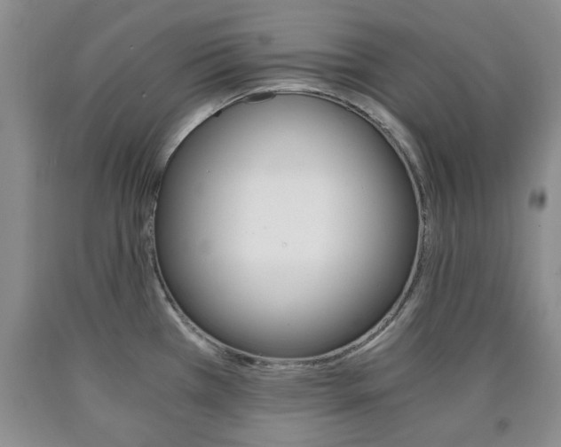 X0000090861385200707270925