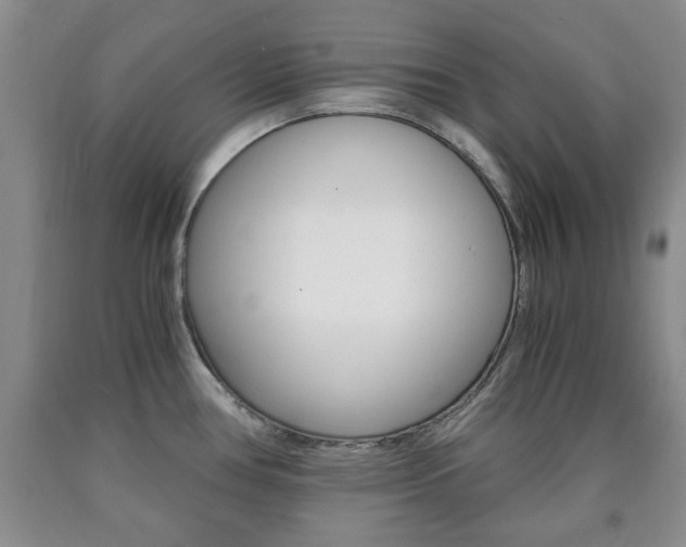 X0000090861386200707270924