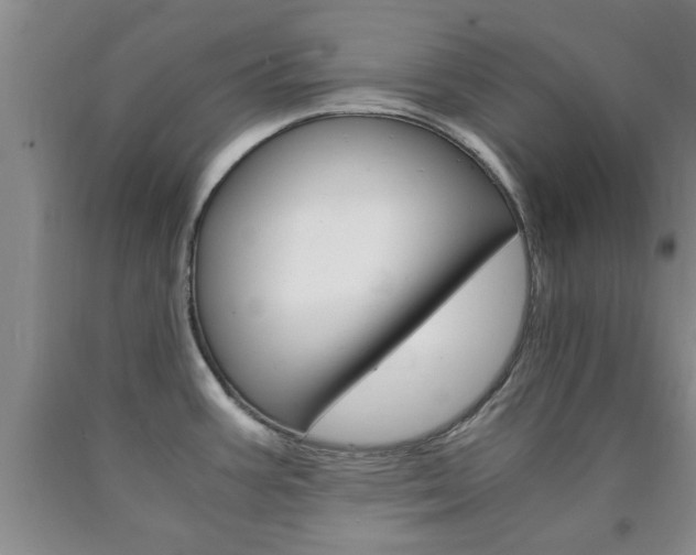 X0000090861387200707270924