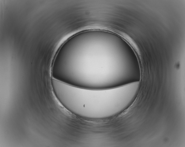 X0000090861388200707270924