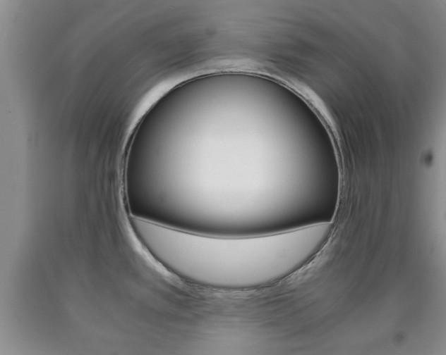 X0000090861389200707270924