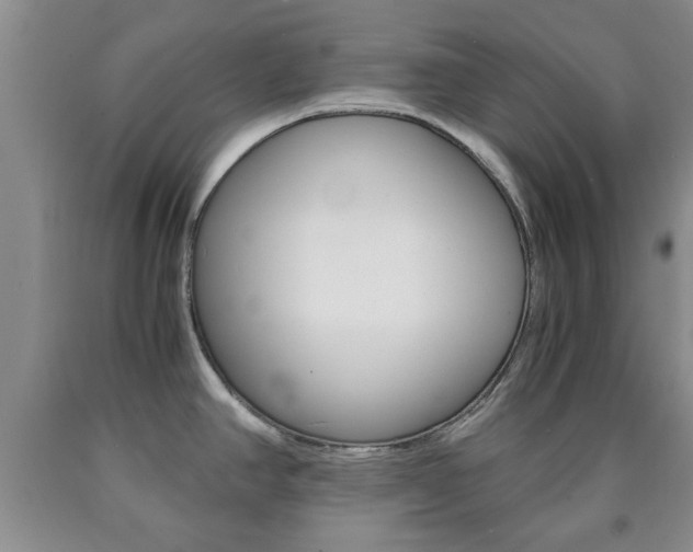 X0000090861390200707270924