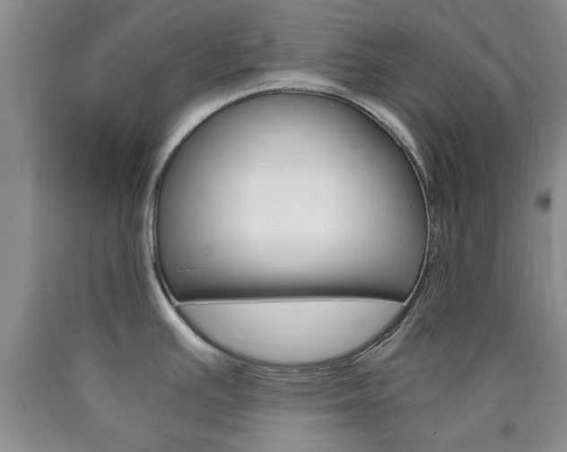 X0000090861391200707270924
