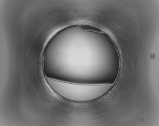 X0000090861392200707270924