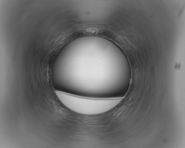 X0000090861394200707270924