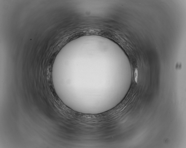 X0000090861395200707270924