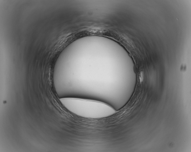 X0000090861396200707270924