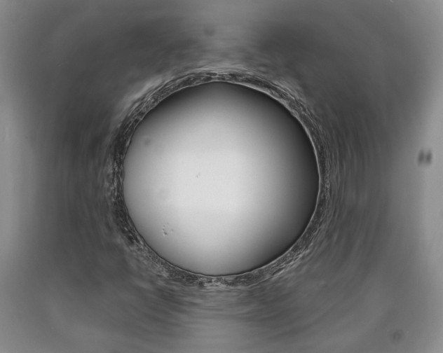 X0000090861398200707270924