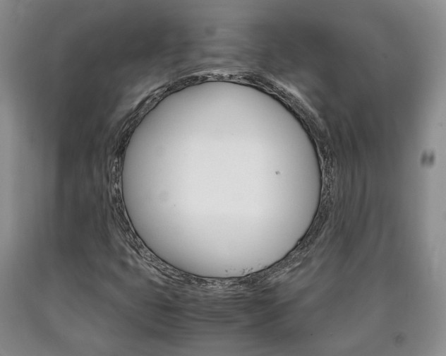X0000090861399200707270924
