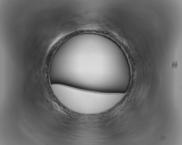 X0000090861400200707270924