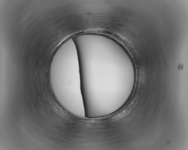 X0000090861401200707270924