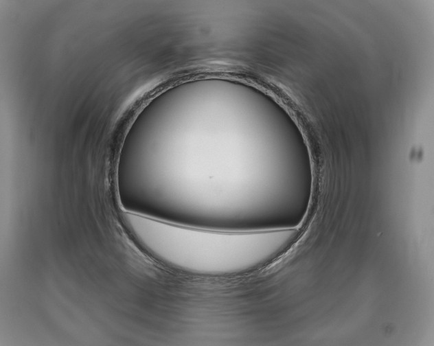 X0000090861402200707270924