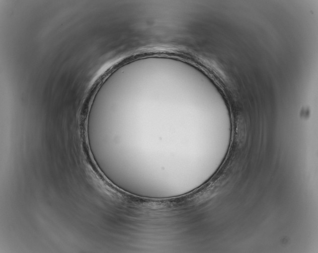 X0000090861404200707270924