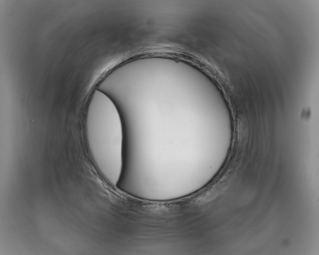 X0000090861405200707270924