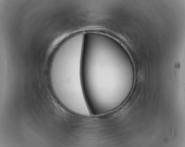 X0000090861406200707270924