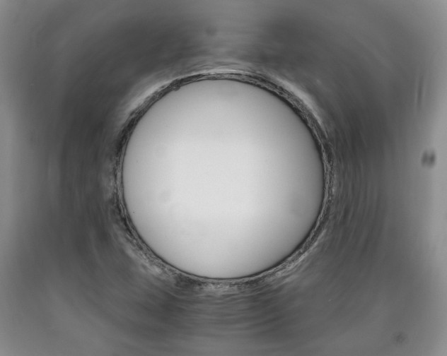X0000090861407200707270924