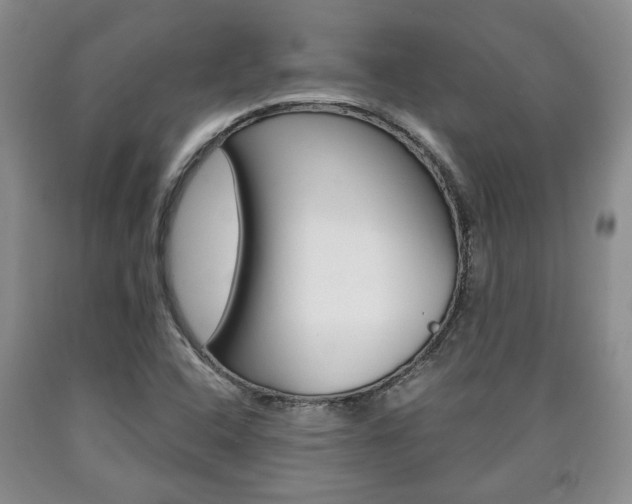X0000090861408200707270924