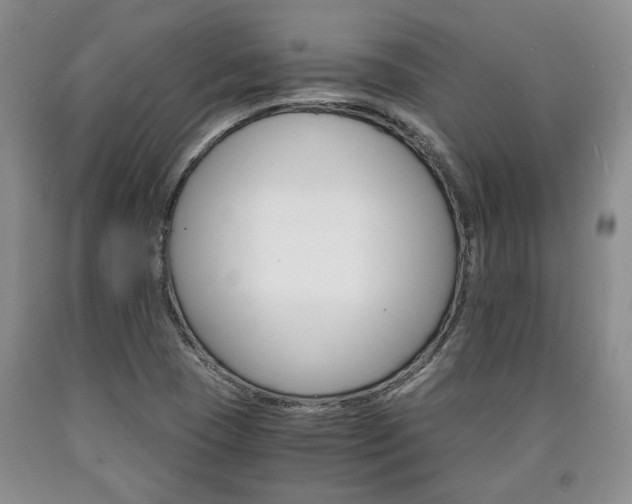 X0000090861409200707270924
