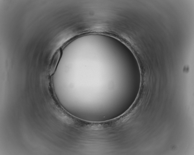 X0000090861410200707270924