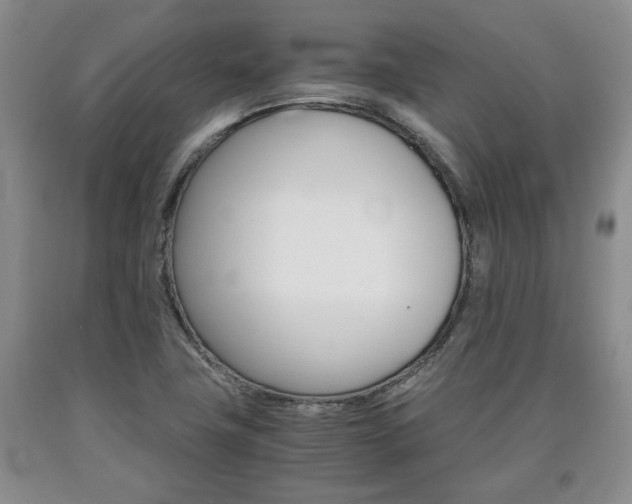 X0000090861411200707270924
