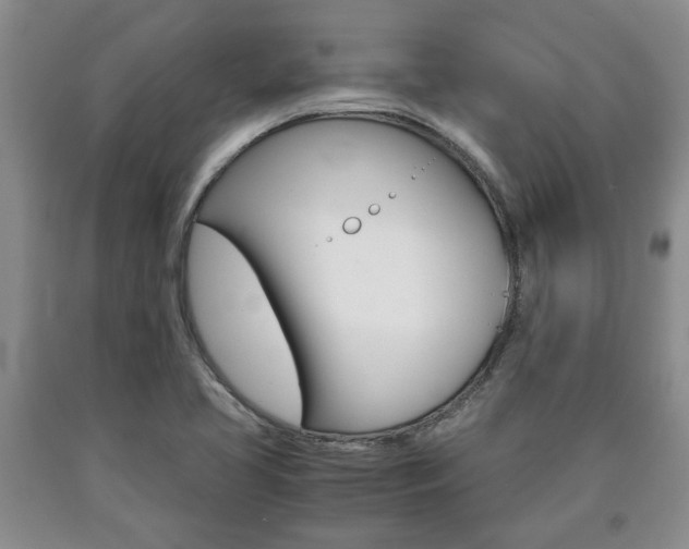 X0000090861413200707270924