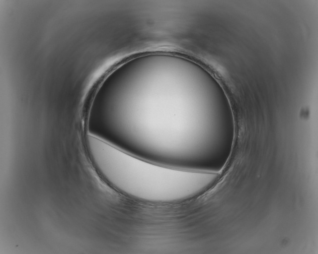 X0000090861414200707270924