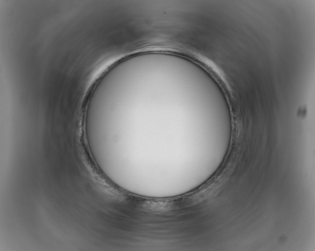 X0000090861415200707270924