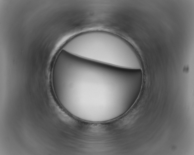X0000090861416200707270924