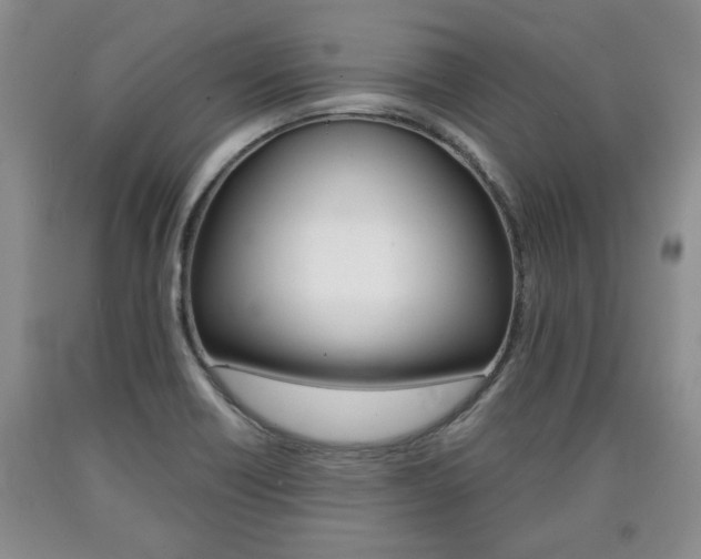 X0000090861418200707270924