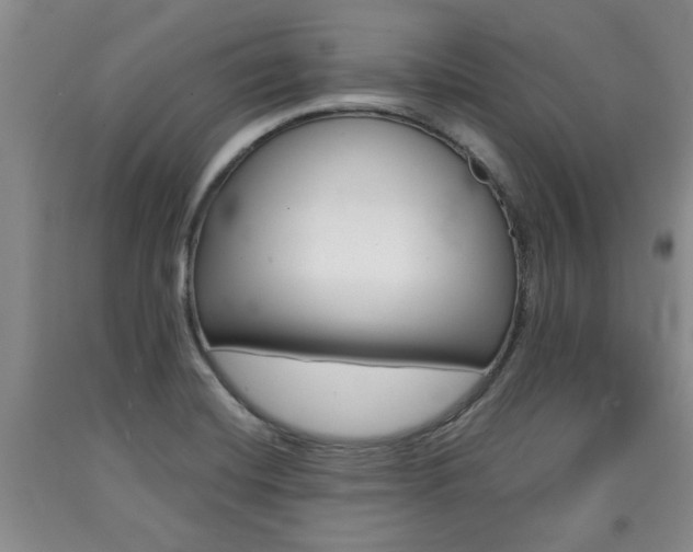 X0000090861420200707270924