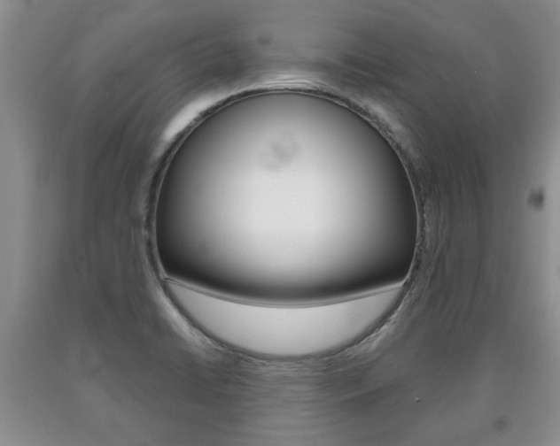 X0000090861422200707270924