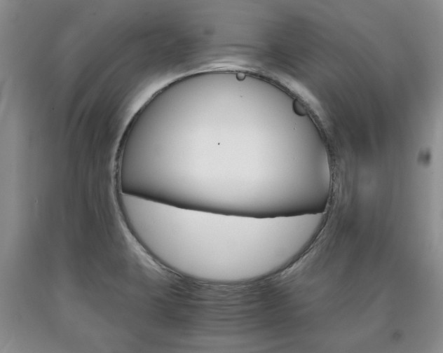 X0000090861423200707270924