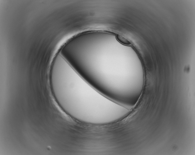 X0000090861424200707270924